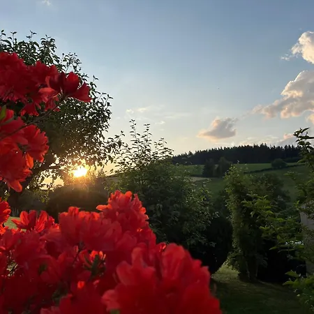 Weideblick, Traumhaft Wohnen Im Schwarzwald アパート ザンクト・ゲオルゲン・イム・シュバルツヴァルト